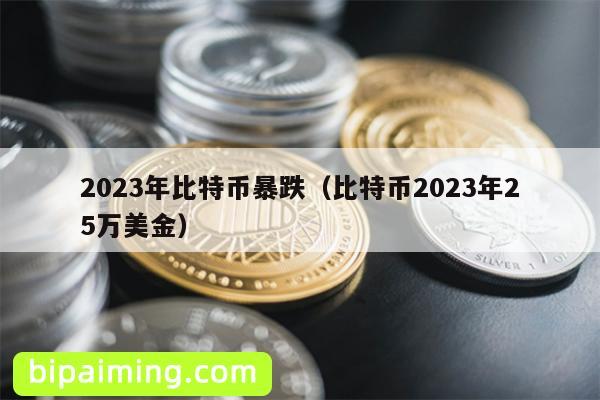 2023年比特币暴跌（比特币2023年25万美金）
