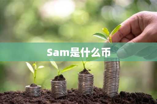 Sam是什么币