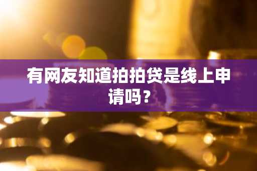 有网友知道拍拍贷是线上申请吗？