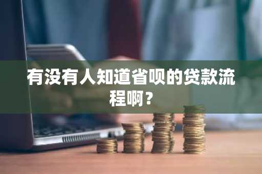 有没有人知道省呗的贷款流程啊？