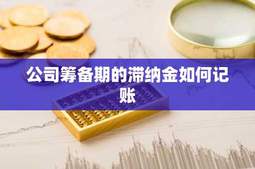 公司筹备期的滞纳金如何记账