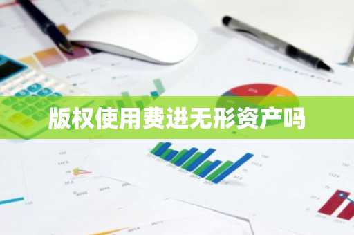 版权使用费进无形资产吗