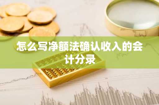 怎么写净额法确认收入的会计分录