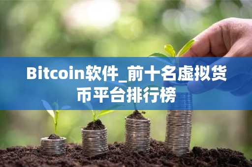 Bitcoin软件_前十名虚拟货币平台排行榜