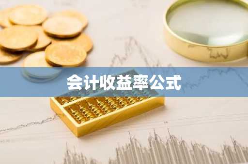 会计收益率公式