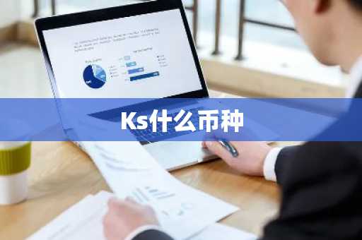 Ks什么币种