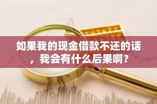 如果我的现金借款不还的话，我会有什么后果啊？