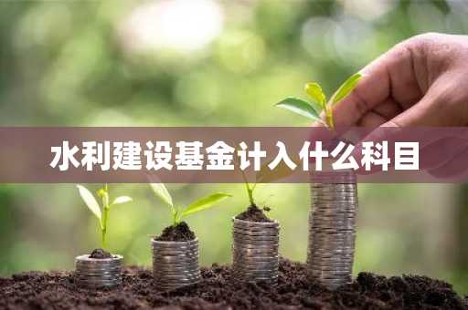 水利建设基金计入什么科目