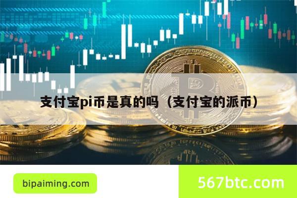 支付宝pi币是真的吗（支付宝的派币）