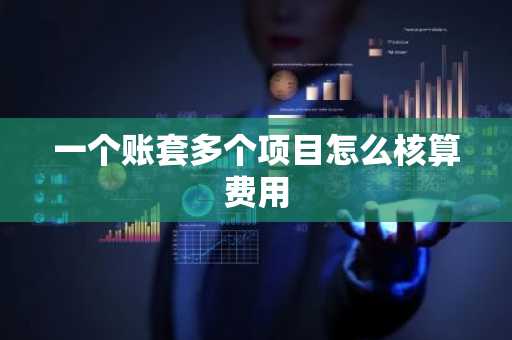 一个账套多个项目怎么核算费用
