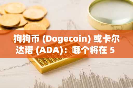 狗狗币 (Dogecoin) 或卡尔达诺 (ADA)：哪个将在 5 年内带来最高回报？