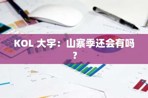 KOL 大宇：山寨季还会有吗？