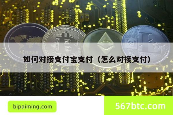 如何对接支付宝支付（怎么对接支付）