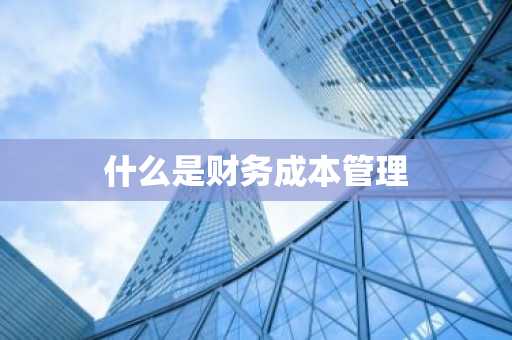 什么是财务成本管理