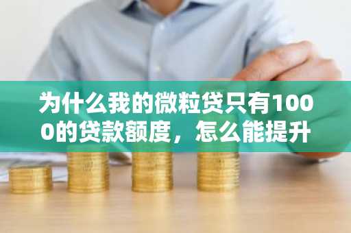 为什么我的微粒贷只有1000的贷款额度，怎么能提升额度？
