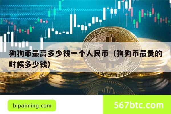 狗狗币最高多少钱一个人民币（狗狗币最贵的时候多少钱）