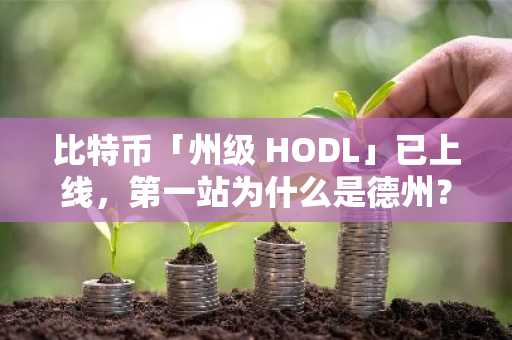 比特币「州级 HODL」已上线，第一站为什么是德州？
