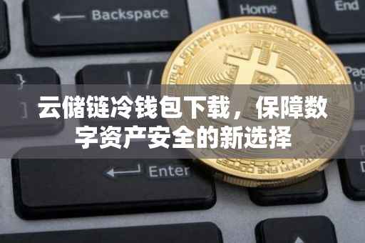 云储链冷钱包下载，保障数字资产安全的新选择