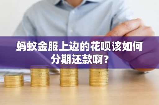 蚂蚁金服上边的花呗该如何分期还款啊？