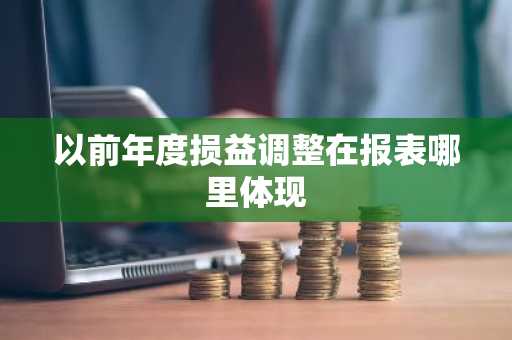以前年度损益调整在报表哪里体现