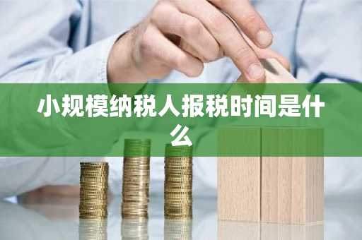 小规模纳税人报税时间是什么