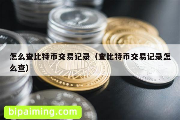 怎么查比特币交易记录（查比特币交易记录怎么查）