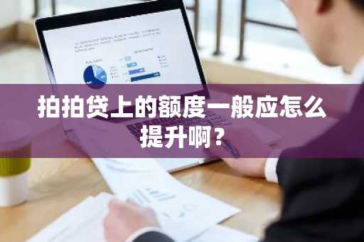拍拍贷上的额度一般应怎么提升啊？