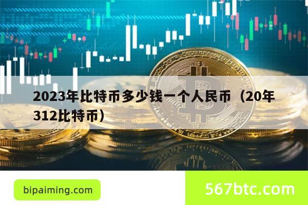 2023年比特币多少钱一个人民币（20年312比特币）