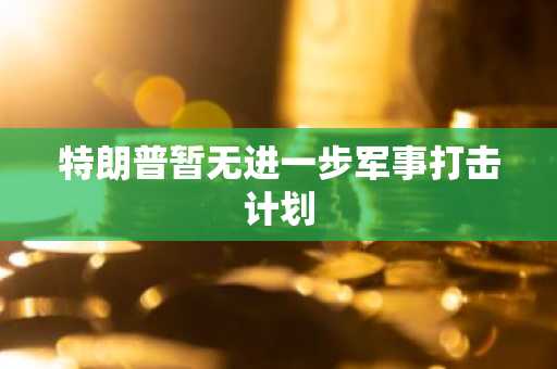 特朗普暂无进一步军事打击计划
