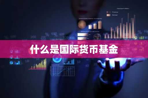 什么是国际货币基金