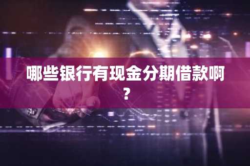 哪些银行有现金分期借款啊？