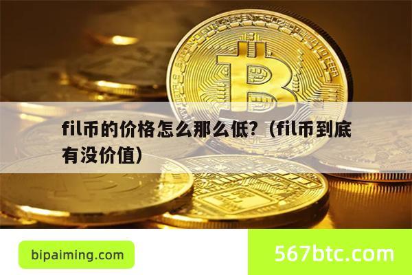 fil币的价格怎么那么低?（fil币到底有没价值）