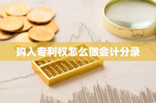 购入专利权怎么做会计分录
