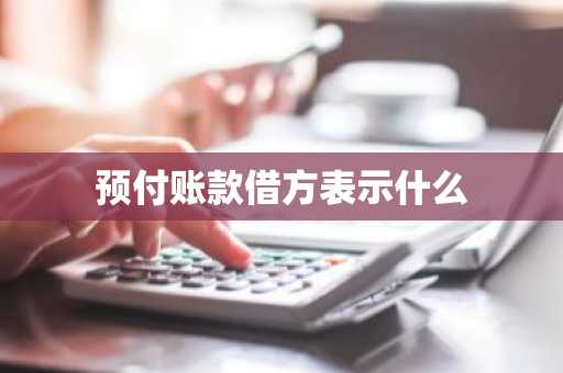 预付账款借方表示什么