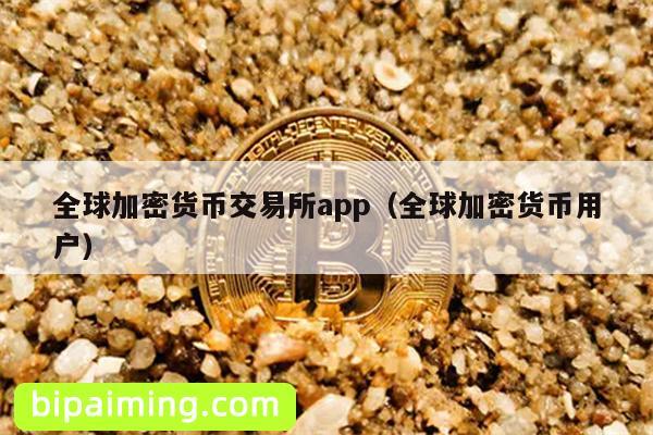 全球加密货币交易所app（全球加密货币用户）