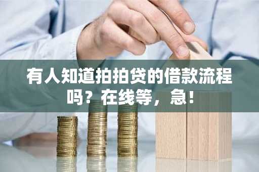 有人知道拍拍贷的借款流程吗？在线等，急！