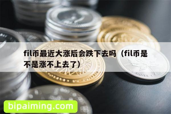 fil币最近大涨后会跌下去吗（fil币是不是涨不上去了）