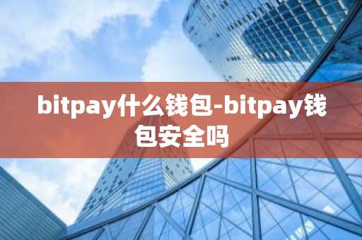 bitpay什么钱包-bitpay钱包安全吗