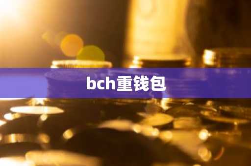 bch重钱包
