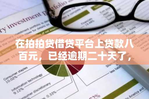 在拍拍贷借贷平台上贷款八百元，已经逾期二十天了，我该怎么办？