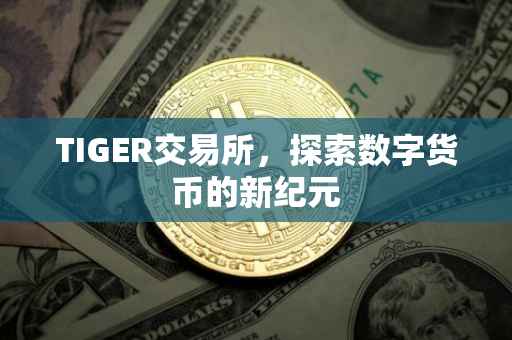 TIGER交易所，探索数字货币的新纪元
