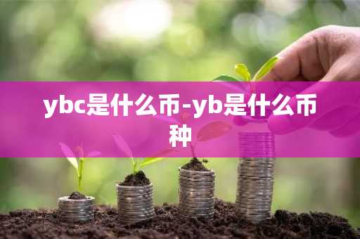 ybc是什么币-yb是什么币种