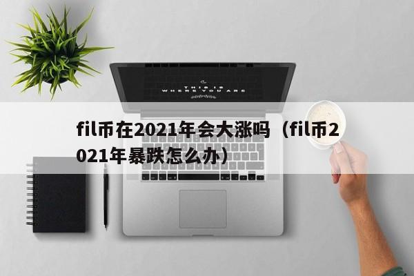fil币在2021年会大涨吗（fil币2021年暴跌怎么办）