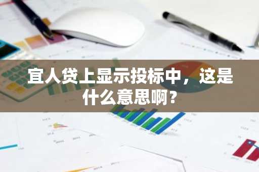 宜人贷上显示投标中，这是什么意思啊？