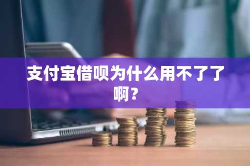 支付宝借呗为什么用不了了啊？