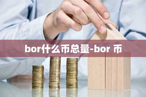 bor什么币总量-bor 币