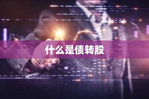什么是债转股