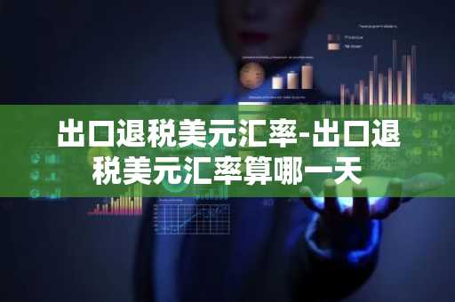 出口退税美元汇率-出口退税美元汇率算哪一天