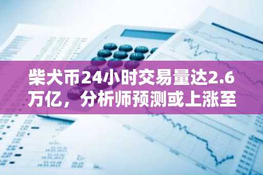 柴犬币24小时交易量达2.6万亿，分析师预测或上涨至0.01美元