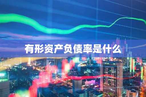 有形资产负债率是什么
